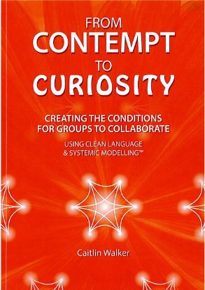 Picture of From Contempt to Curiosity: 